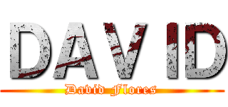 ＤＡＶＩＤ (David Flores)