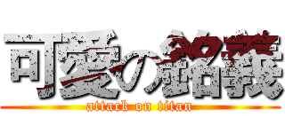 可愛の銘義 (attack on titan)