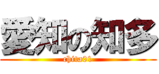 愛知の知多 (chita01)