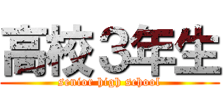 高校３年生 (senior high school)