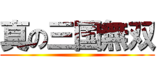 真の三国無双 ()