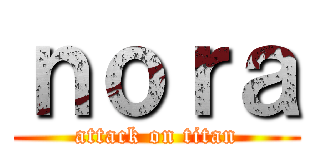 ｎｏｒａ (attack on titan)