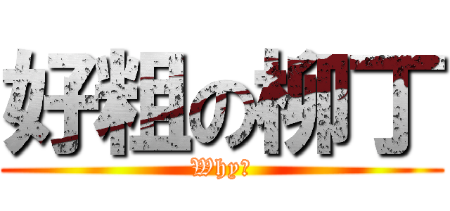 好粗の柳丁 (Why?)