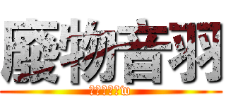 廢物音羽 (快補完番哇w)