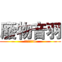 廢物音羽 (快補完番哇w)