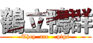 鶴立鴨群 (They  are    pigs)
