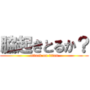 脇起きとるか？ (attack on titan)