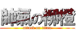 帥氣の柳橙 (attack on titan)