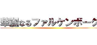 華麗なるファルケンボーグ家 ()