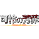 可怜の芳菲 (attack on titan)