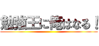 勉強王に俺はなる！ ()