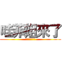 哇菲姐來了 (美吧美的不得了)