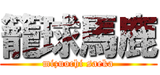 籠球馬鹿 (mizuochi saeka)