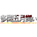 多聞五月蝿い (attack on titan)