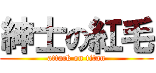紳士の紅毛 (attack on titan)