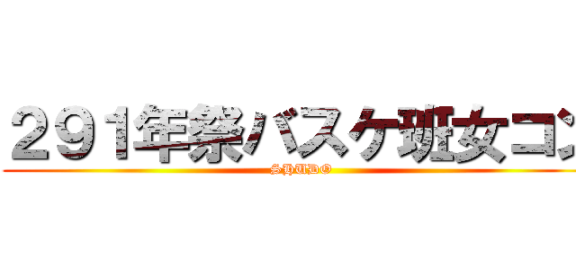 ２９１年祭バスケ班女コン (SHUDO)