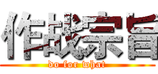 作战宗旨 (do for what)