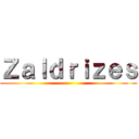 Ｚａｌｄｒｉｚｅｓ ()