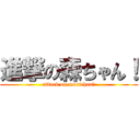 進撃の森ちゃん！ (attack on morichan！)