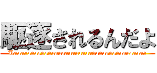 駆逐されるんだよ (Uaaaaaaaaaaaaaaaaaaaaaaaaaaaaaaaaaaaaaaa)