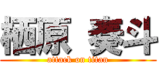 栖原 奏斗 (attack on titan)