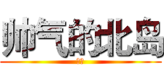帅气的北岛 (帅气)