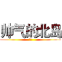 帅气的北岛 (帅气)