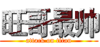 旺哥最帅 (attack on titan)