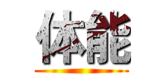 体能 ()