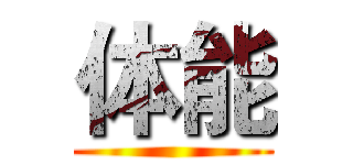 体能 ()