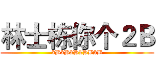 林士栋你个２Ｂ (2B2B2B2BB2B)