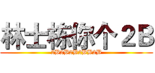 林士栋你个２Ｂ (2B2B2B2BB2B)