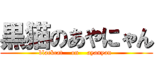 黒猫のあやにゃん (blackcat    on    ayanyan )