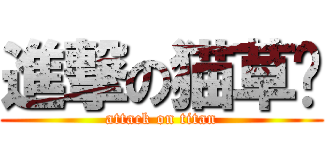 進撃の猫草药 (attack on titan)