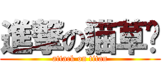 進撃の猫草药 (attack on titan)