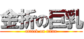 金折の巨乳 (attack on titan)