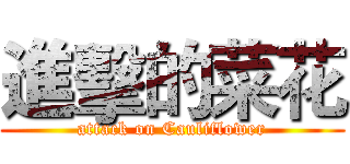 進擊的菜花 (attack on Cauliflower)