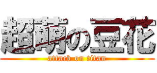 超萌の豆花 (attack on titan)