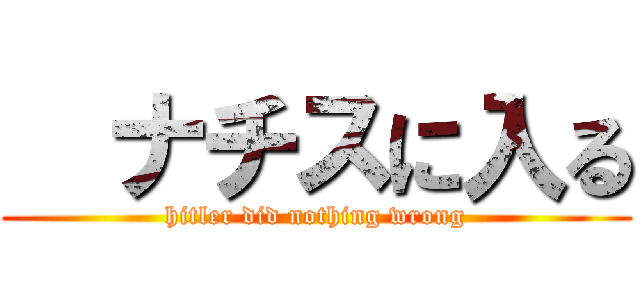   ナチスに入る (hitler did nothing wrong)