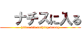   ナチスに入る (hitler did nothing wrong)