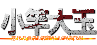 小竿大玉 (PRIMITIVE TRIBE)