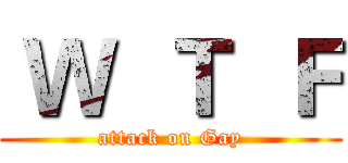  Ｗ  Ｔ  Ｆ (attack on Gay)