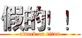 假的！！ (attack on titan)