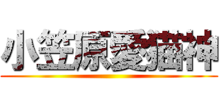 小笠原愛猫神 ()