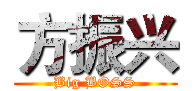 方振兴 (Big BOSS)
