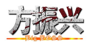 方振兴 (Big BOSS)