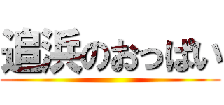 追浜のおっぱい ()