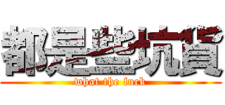 都是些坑貨 (what the fuck)