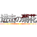 进击の菊花 (attack on  juhua)