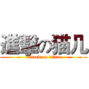 進擊の猫几 (attack on titan)